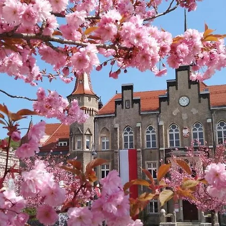 Appartement Mieszkanie W Srodmiesciu Blisko Rynku *
