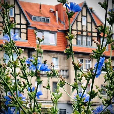 Mieszkanie W Srodmiesciu Blisko Rynku アパート ヴァウブジフ