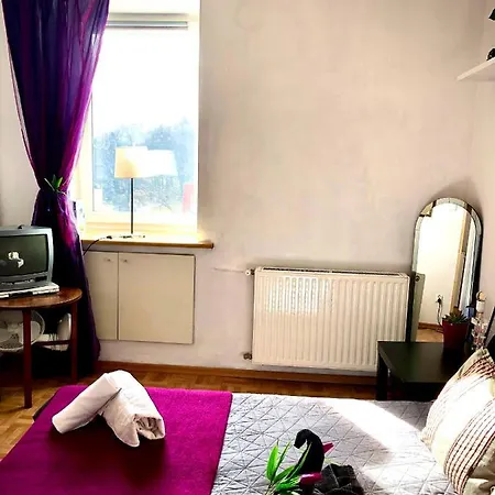 Mieszkanie W Srodmiesciu Blisko Rynku