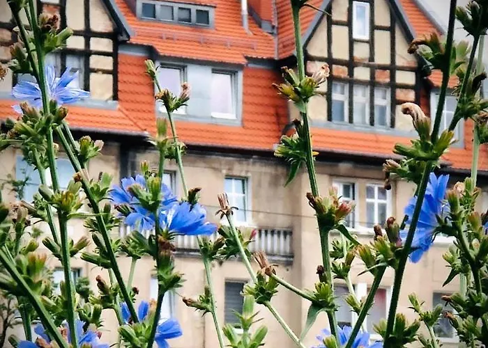 Mieszkanie W Srodmiesciu Blisko Rynku Apartment Waldenburg